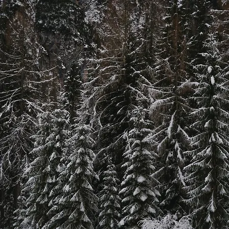La Daga Nature * Auronzo di Cadore