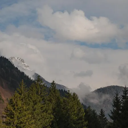 La Daga Nature * Auronzo di Cadore